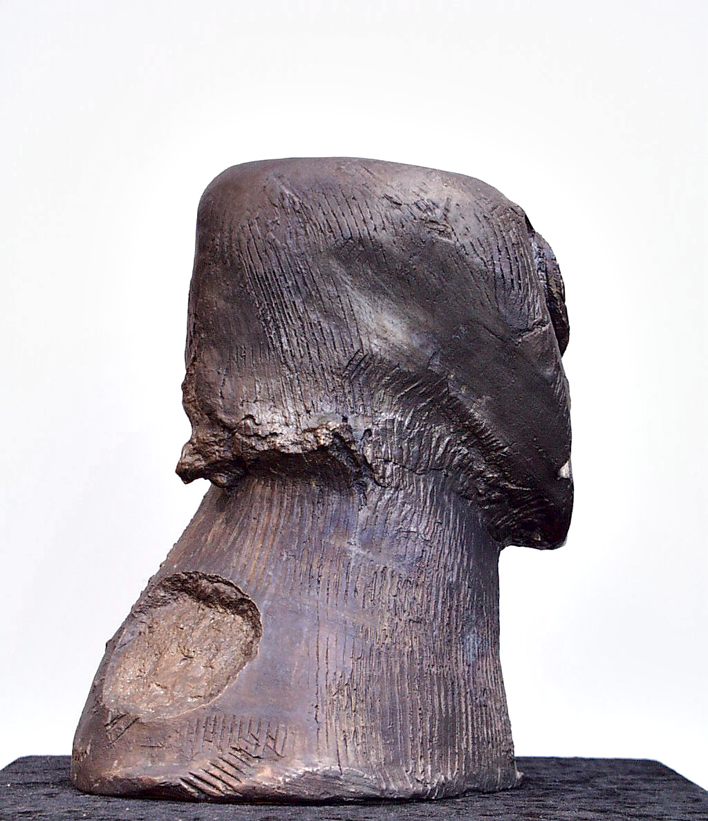 Emotional exercise230